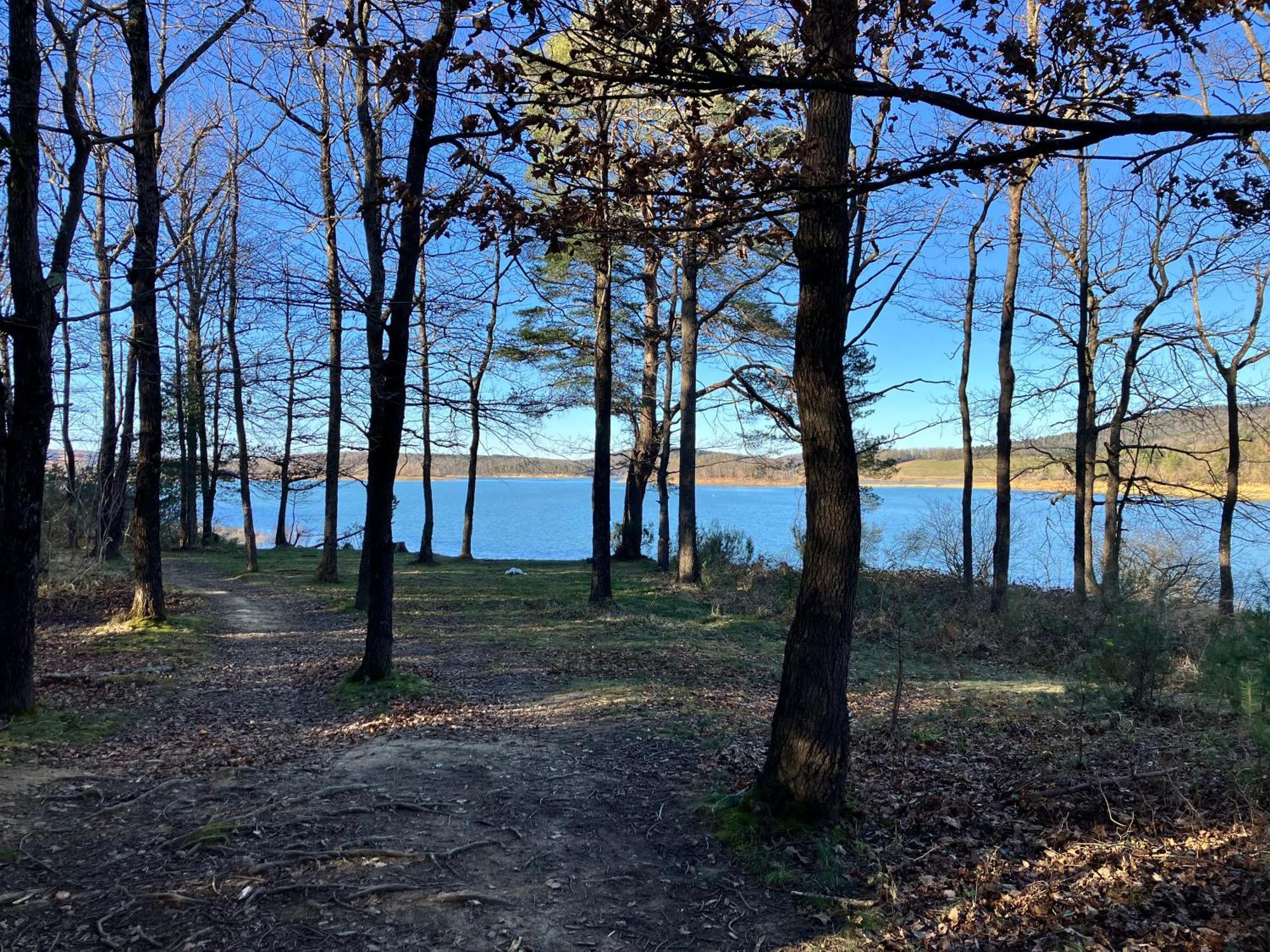 Maison Avec Vue Sur Le Lac De Montbel Экстерьер фото